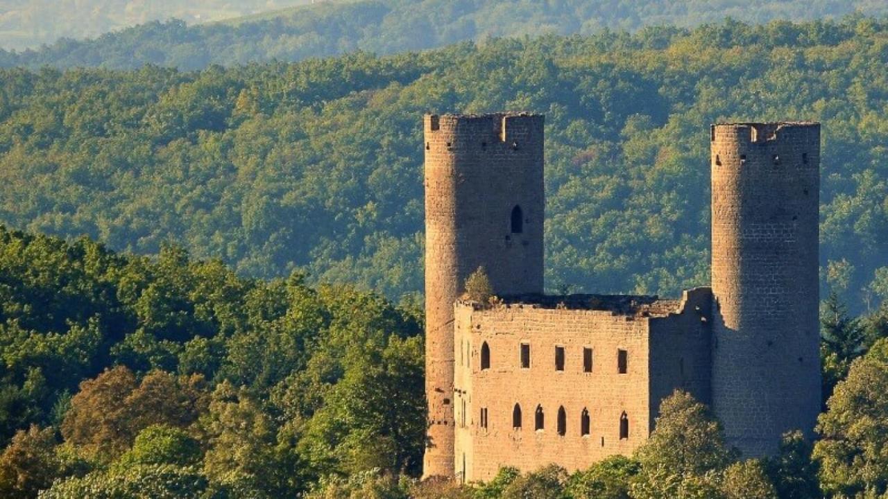 La Curiosite - Appartement 2 Chambres A Barr, Route Des Vins D'Alsace Exterior foto